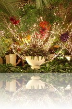 Wynn Las Vegas Inside