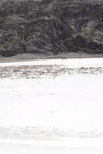 Death Valley Badwater Basin