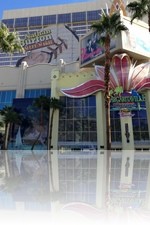 Flamingo Las Vegas and Margaritaville