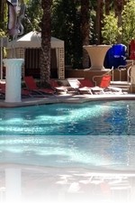 Flamingo Pool Vegas