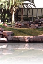 Flamingo Wildlife Habitat Vegas