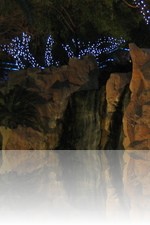 Flamingo Wildlife Habitat Vegas Koi Pond