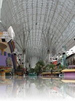 Fremont Street during the day