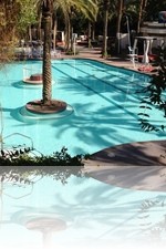 Flamingo Pool Vegas