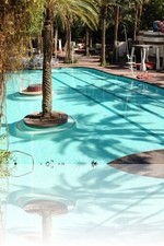 Flamingo Pool Vegas