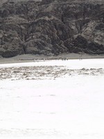 Death Valley Badwater Basin