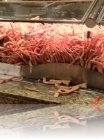 Carnival World Buffet Crab Legs